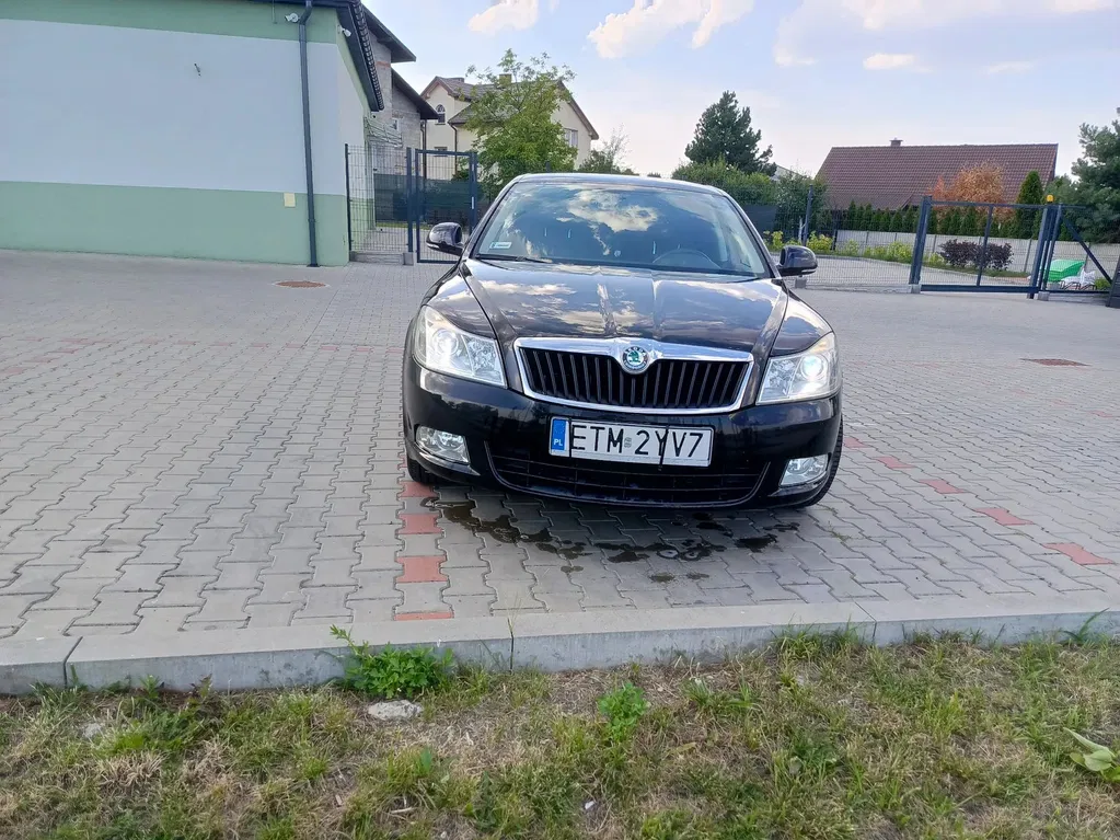 Zdjęcie: 2009 Skoda Octavia