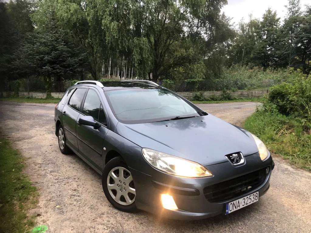 Zdjęcie: 2005 Peugeot 407