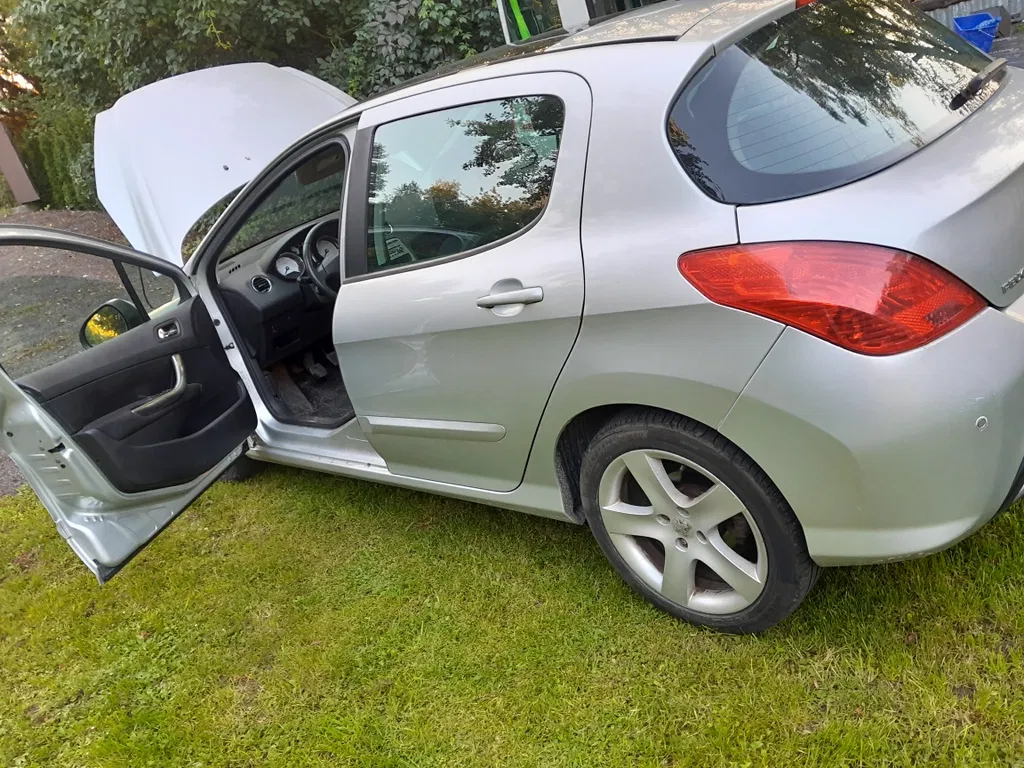 Zdjęcie: 2010 Peugeot 308