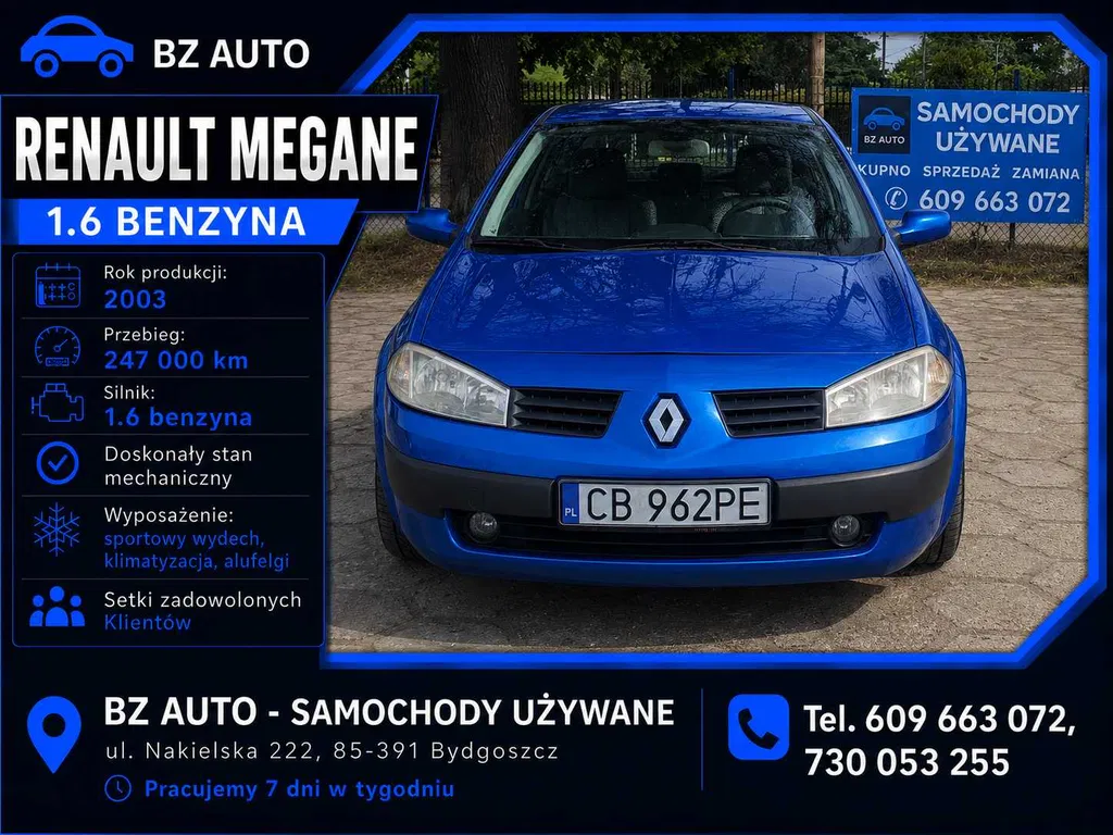 Zdjęcie: 2003 Renault Megane