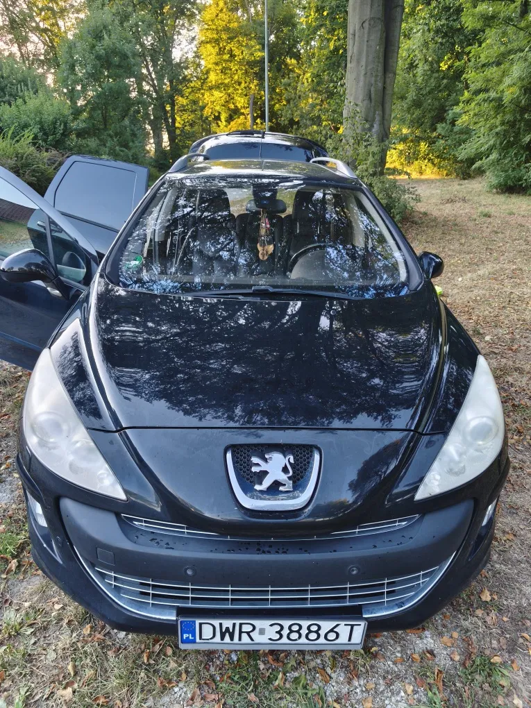 Zdjęcie: 2010 Peugeot 308