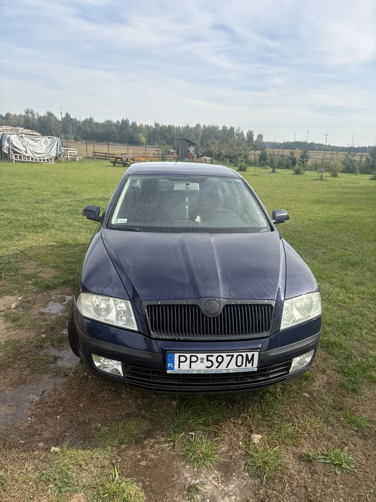 Zdjęcie: 2004 Skoda Octavia