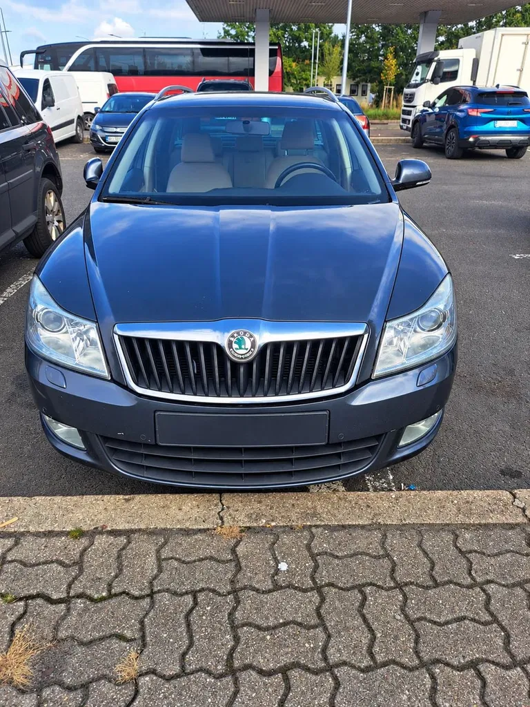 Zdjęcie: 2010 Skoda Octavia