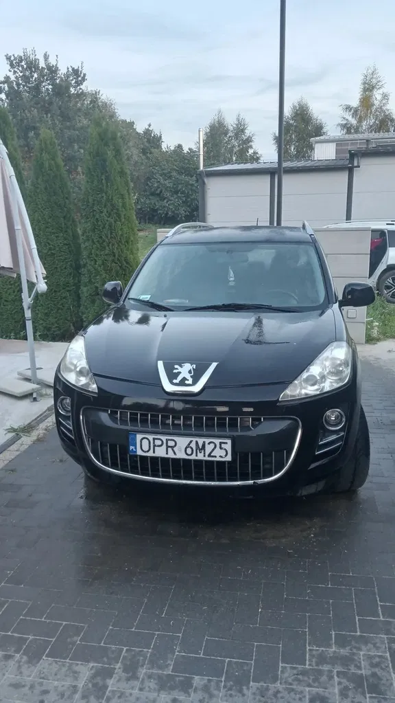 Zdjęcie: 2009 Peugeot 4007