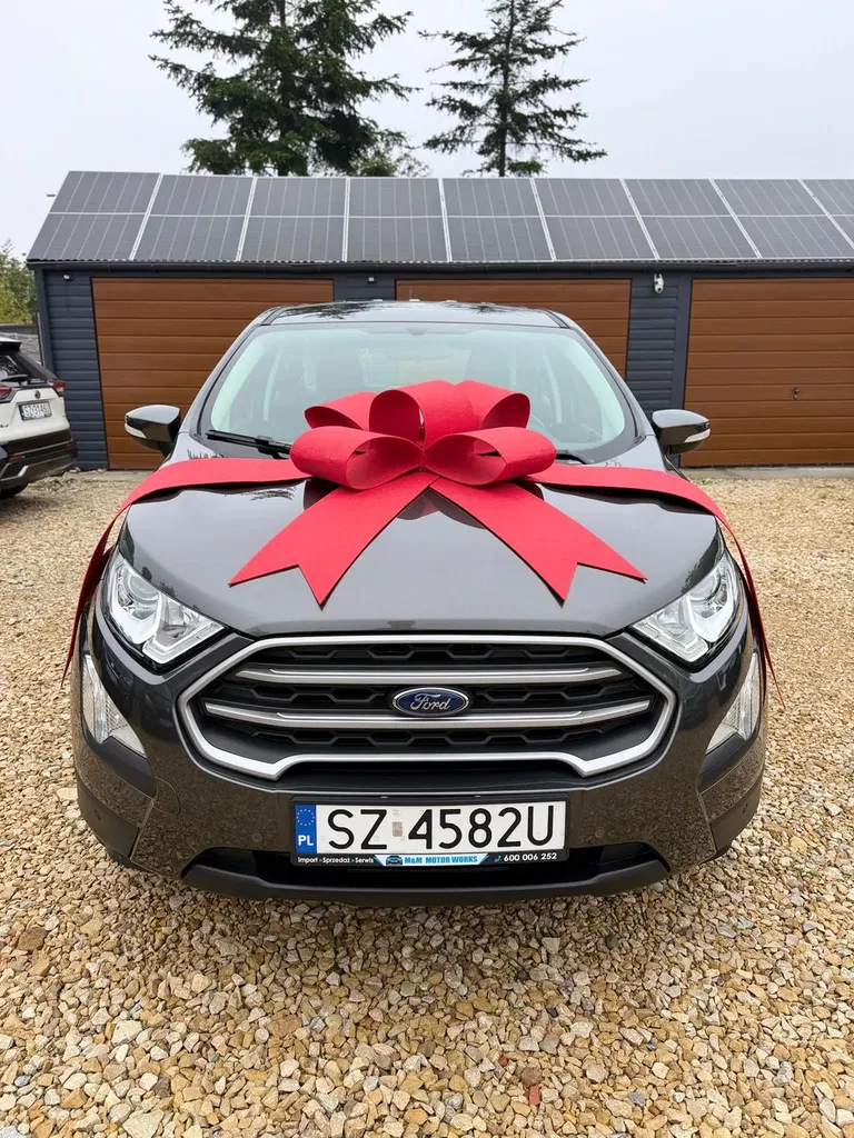Zdjęcie: 2019 Ford EcoSport