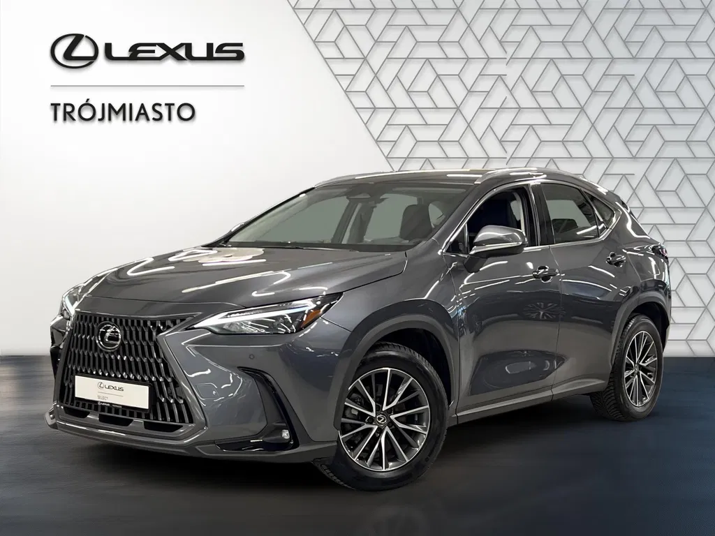 Zdjęcie: 2024 Lexus NX