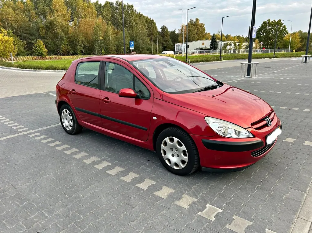 Zdjęcie: 2005 Peugeot 307
