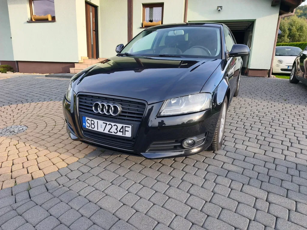 Zdjęcie: 2010 Audi A3 3-drzwiowe