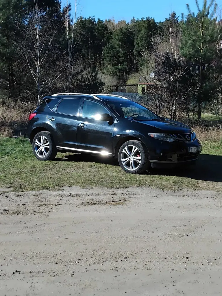 Zdjęcie: 2010 Nissan Murano