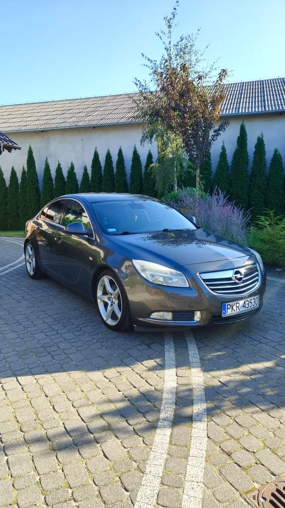 Zdjęcie: 2009 Opel Insignia