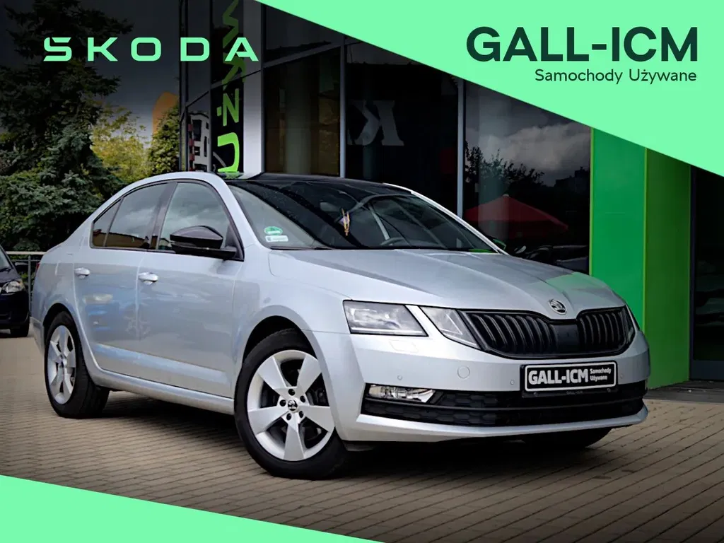 Zdjęcie: 2019 Skoda Octavia