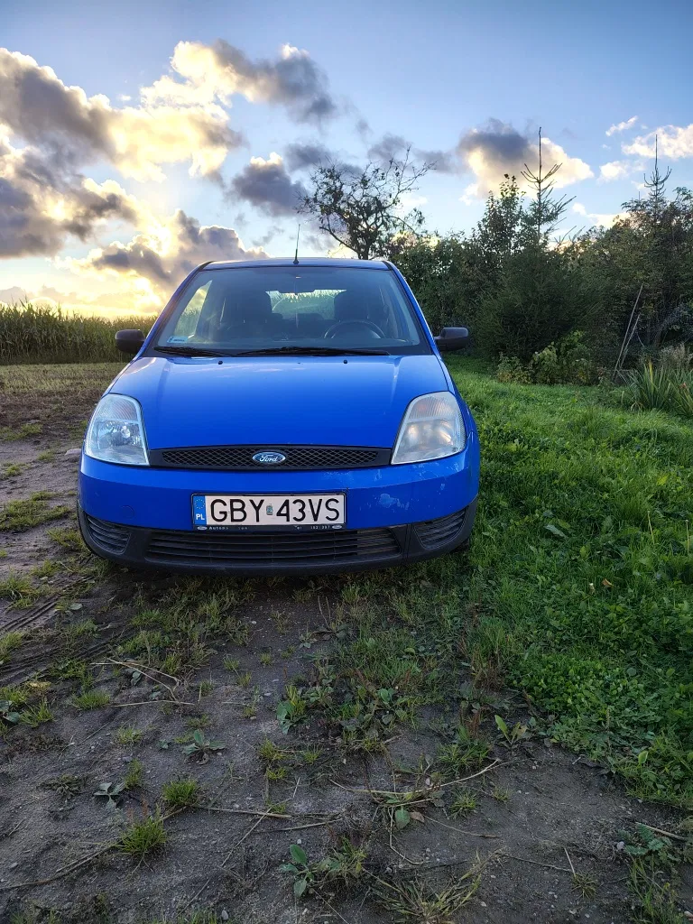 Zdjęcie: 2003 Ford Fiesta