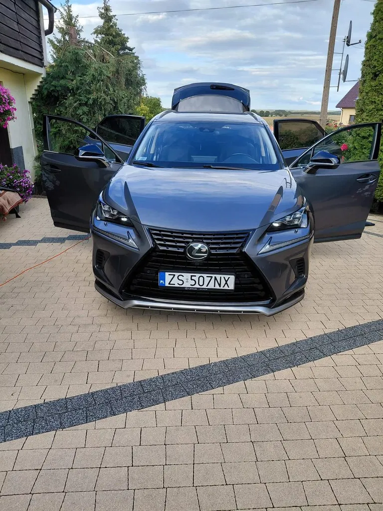 Zdjęcie: 2021 Lexus NX