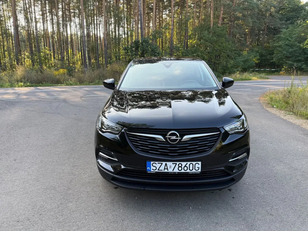 Zdjęcie: 2021 Opel Grandland X