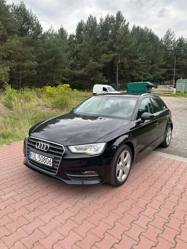 Zdjęcie: 2014 Audi A3 Sportback