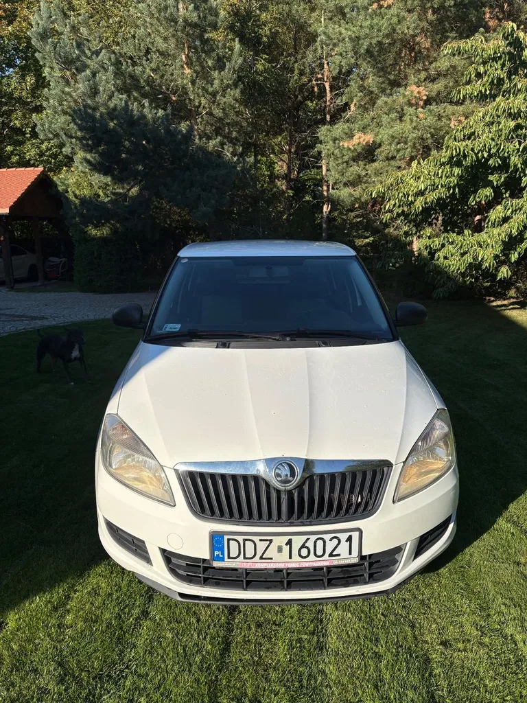 Zdjęcie: 2014 Skoda Fabia