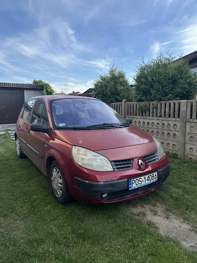 Zdjęcie: 2004 Renault Scenic