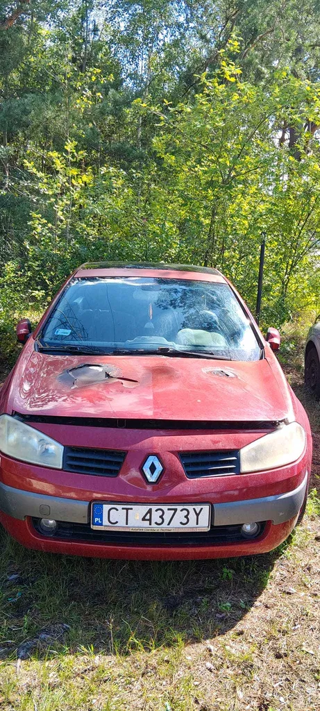Zdjęcie: 2005 Renault Megane