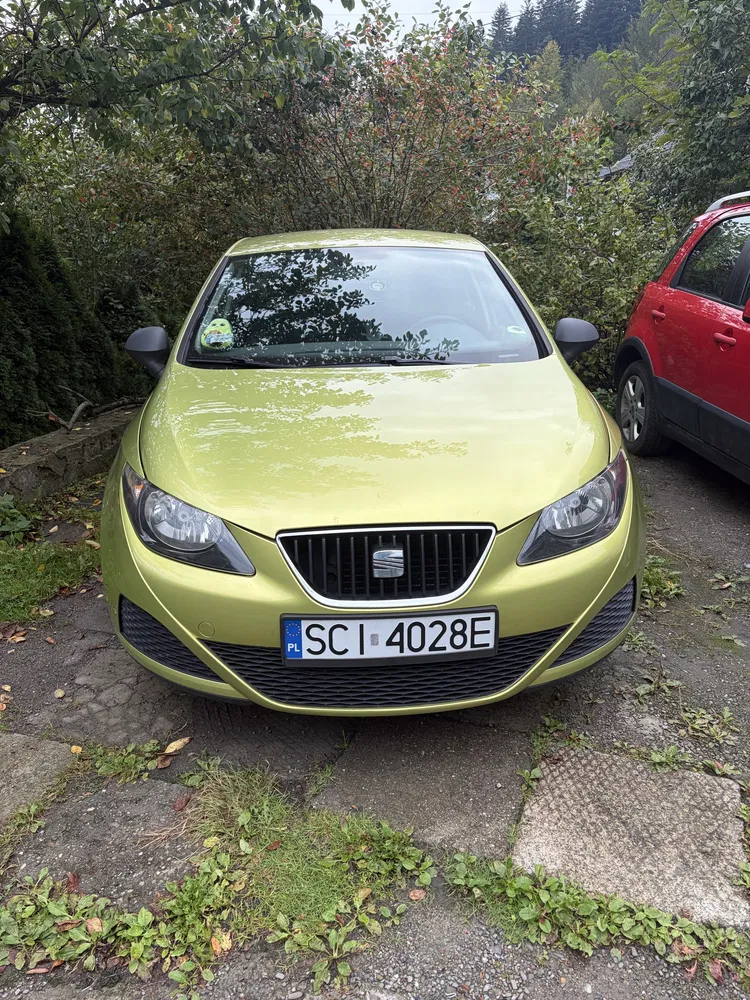 Zdjęcie: 2009 Seat Ibiza