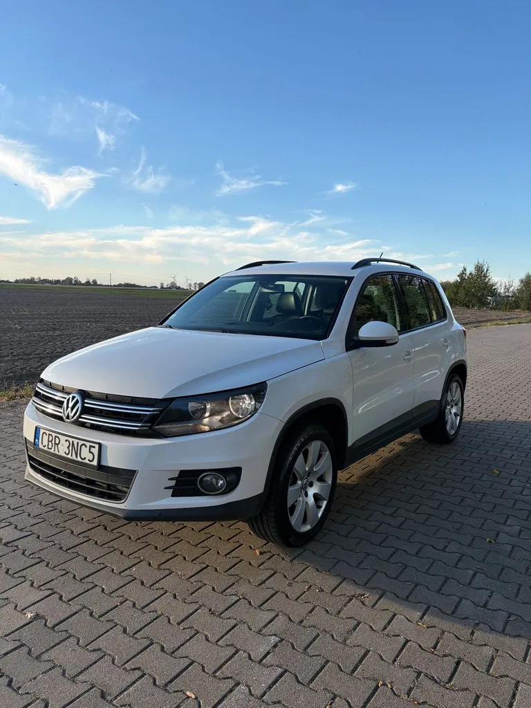 Zdjęcie: 2010 Volkswagen Tiguan