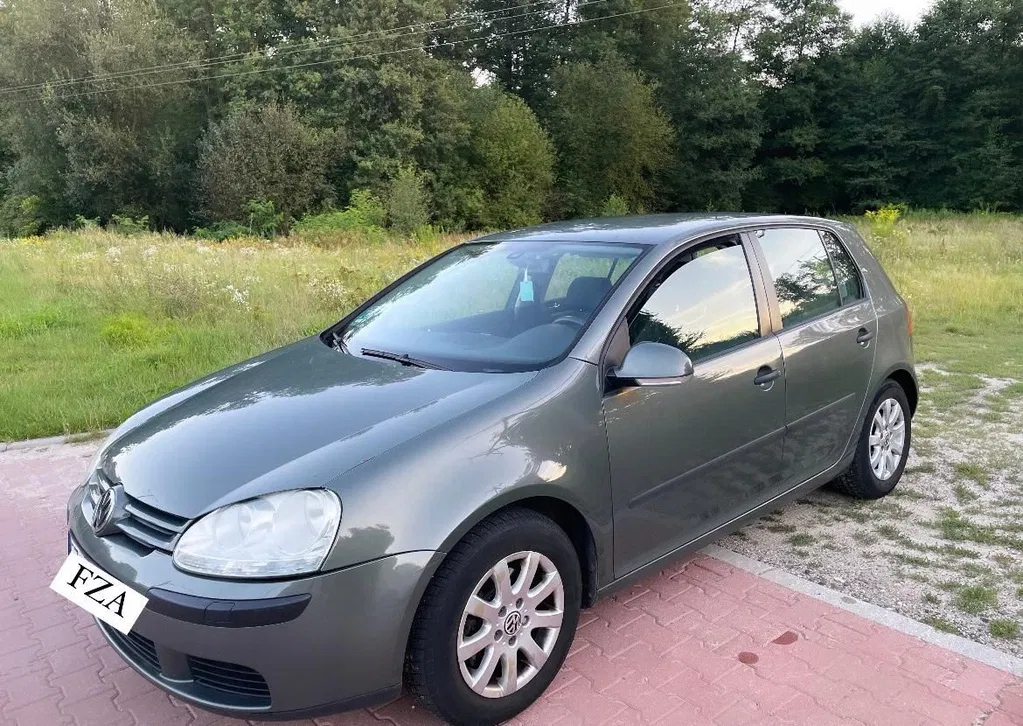 Zdjęcie: 2004 Volkswagen Golf
