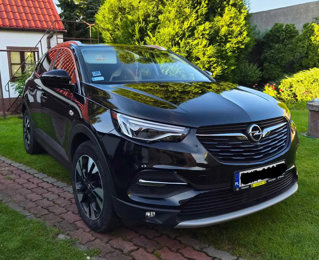 Zdjęcie: 2021 Opel Grandland X