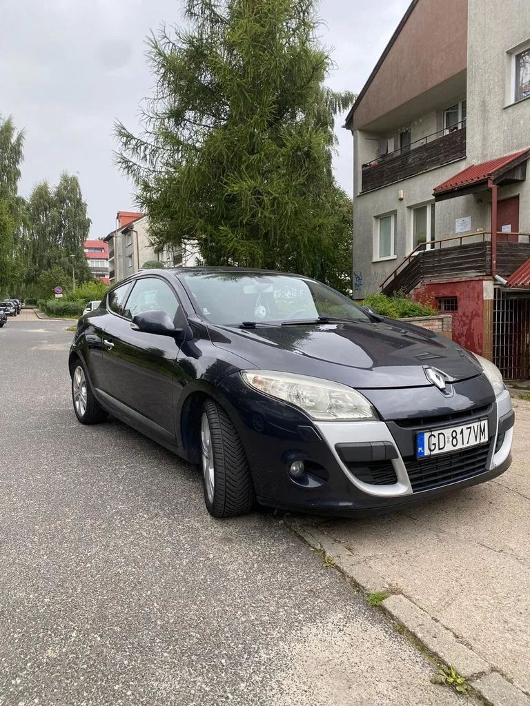 Zdjęcie: 2009 Renault Megane