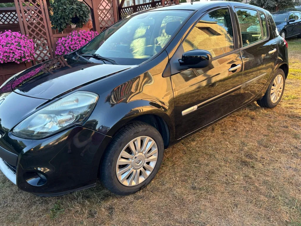 Zdjęcie: 2009 Renault Clio