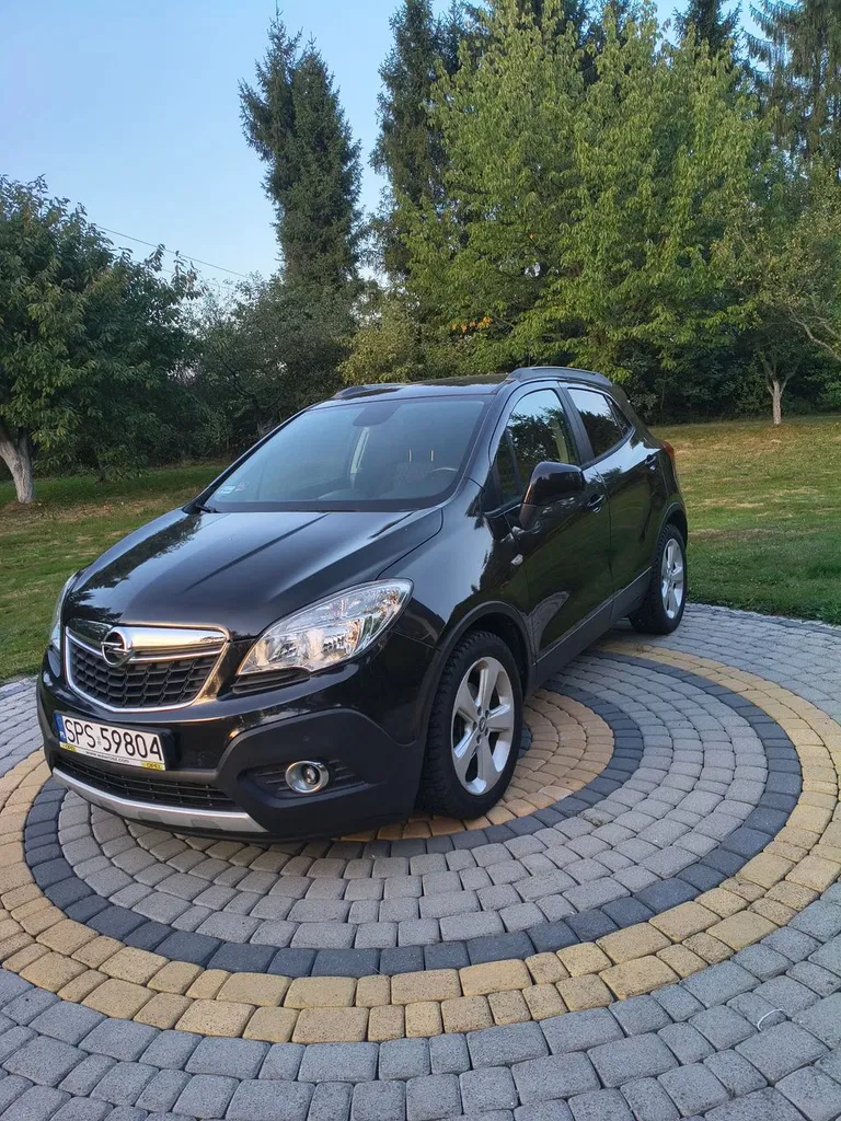 Zdjęcie: 2012 Opel Mokka
