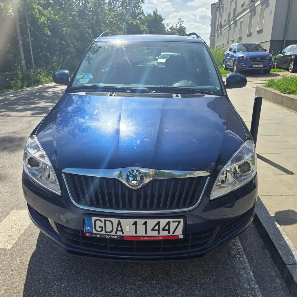 Zdjęcie: 2010 Skoda Fabia
