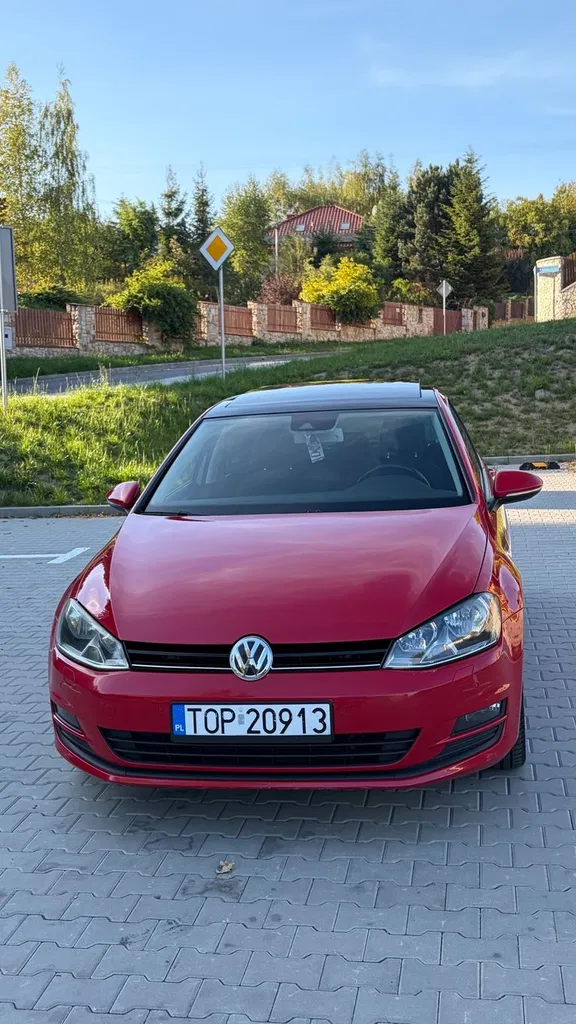 Zdjęcie: 2013 Volkswagen Golf