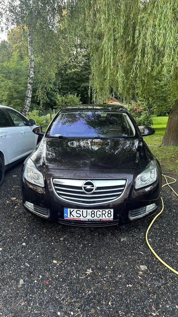 Zdjęcie: 2010 Opel Insignia