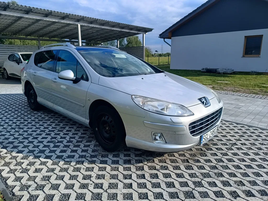 Zdjęcie: 2010 Peugeot 407