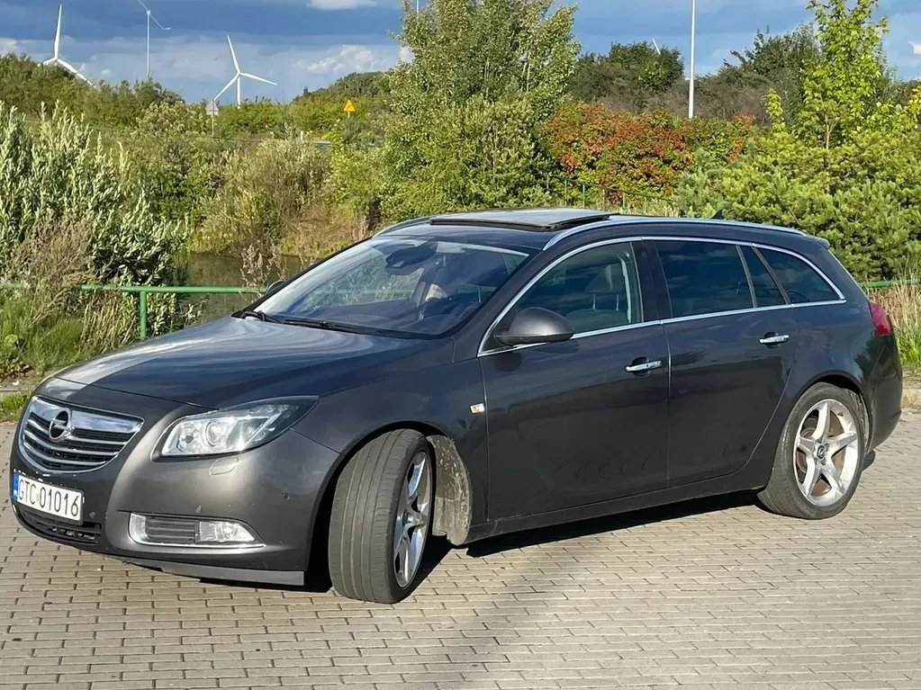 Zdjęcie: 2010 Opel Insignia