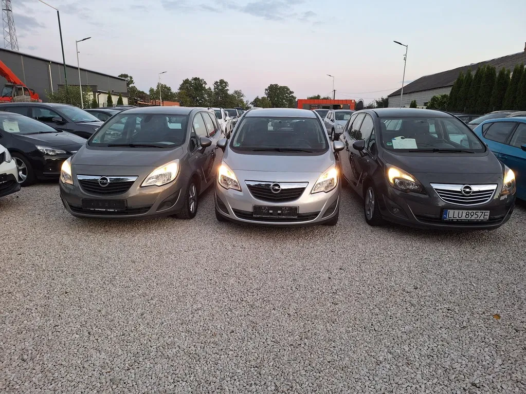 Zdjęcie: 2010 Opel Meriva