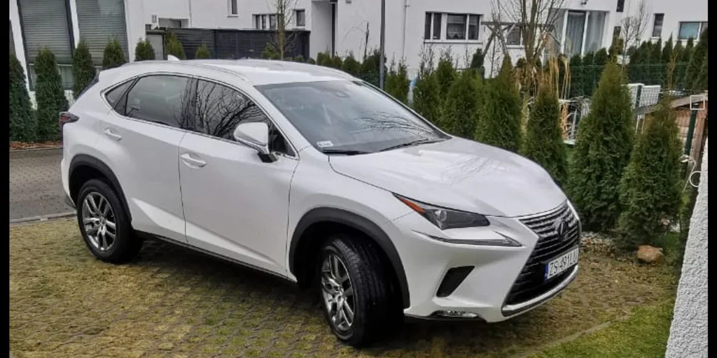 Zdjęcie: 2019 Lexus NX