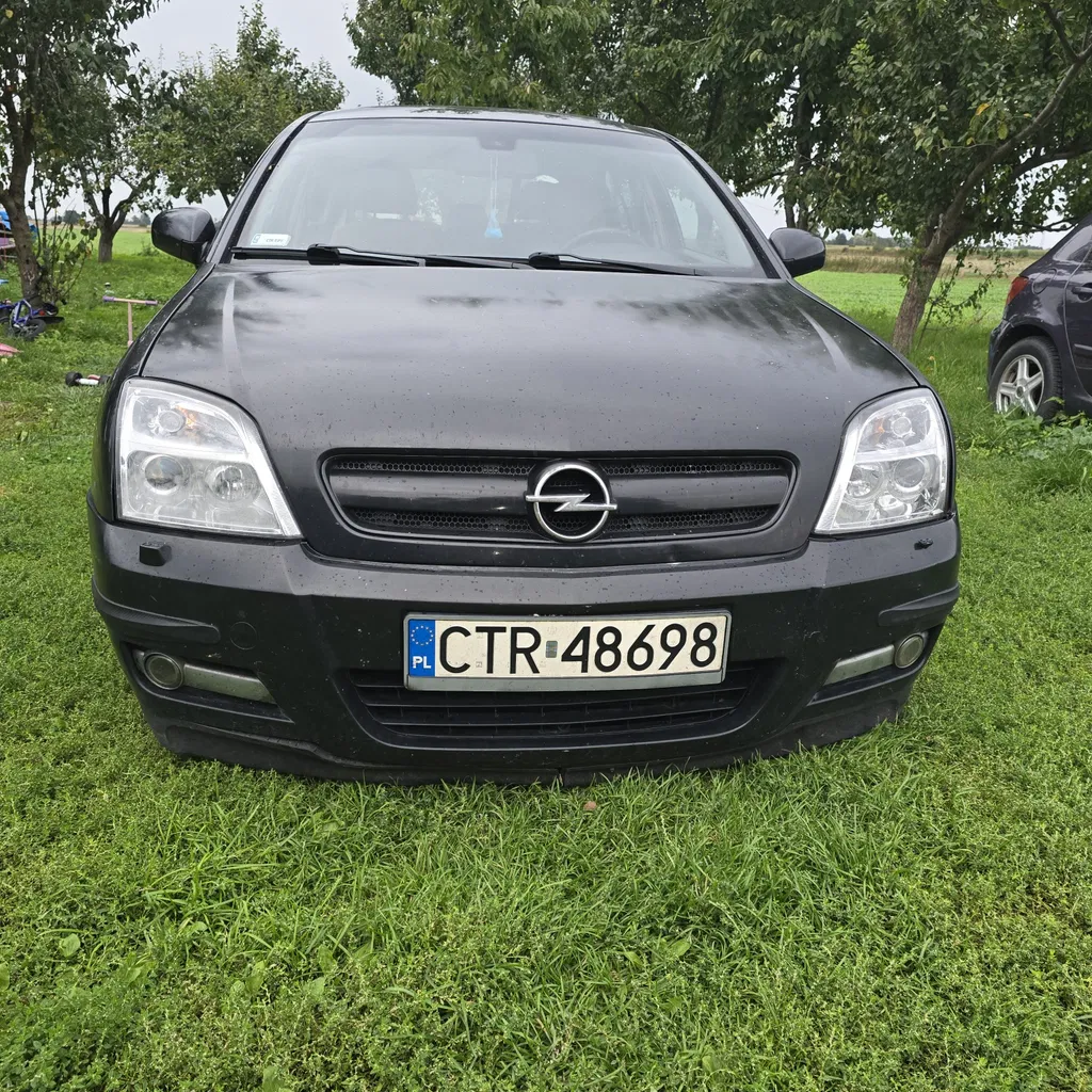 Zdjęcie: 2023 Opel Signum
