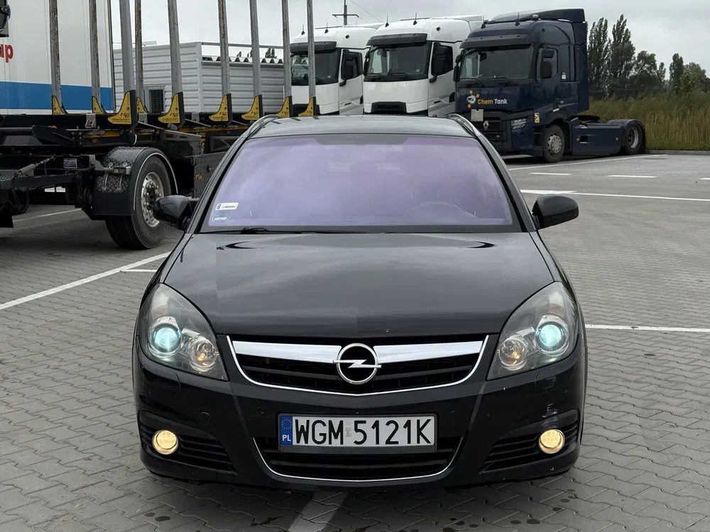 Zdjęcie: 2007 Opel Signum