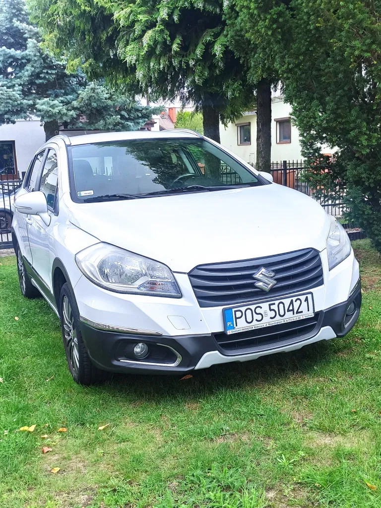 Zdjęcie: 2013 Suzuki S-Cross