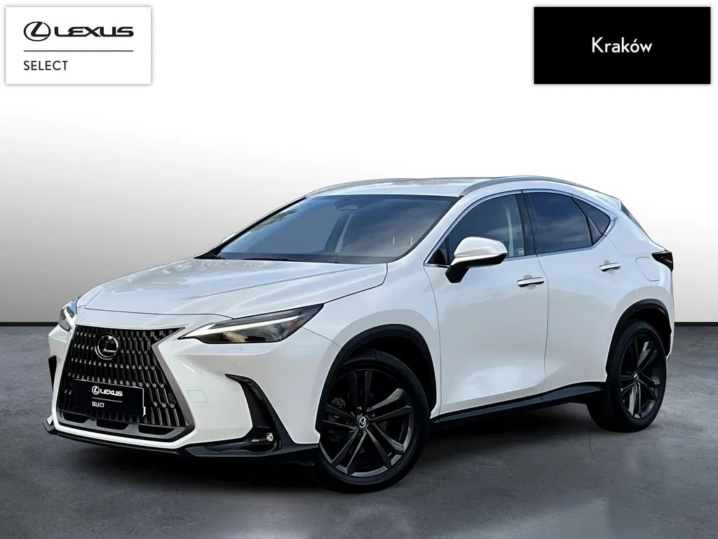 Zdjęcie: 2024 Lexus NX
