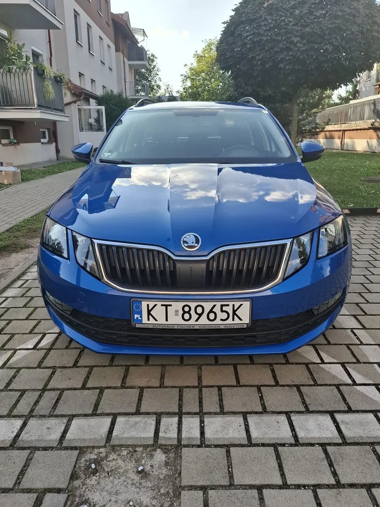 Zdjęcie: 2017 Skoda Octavia