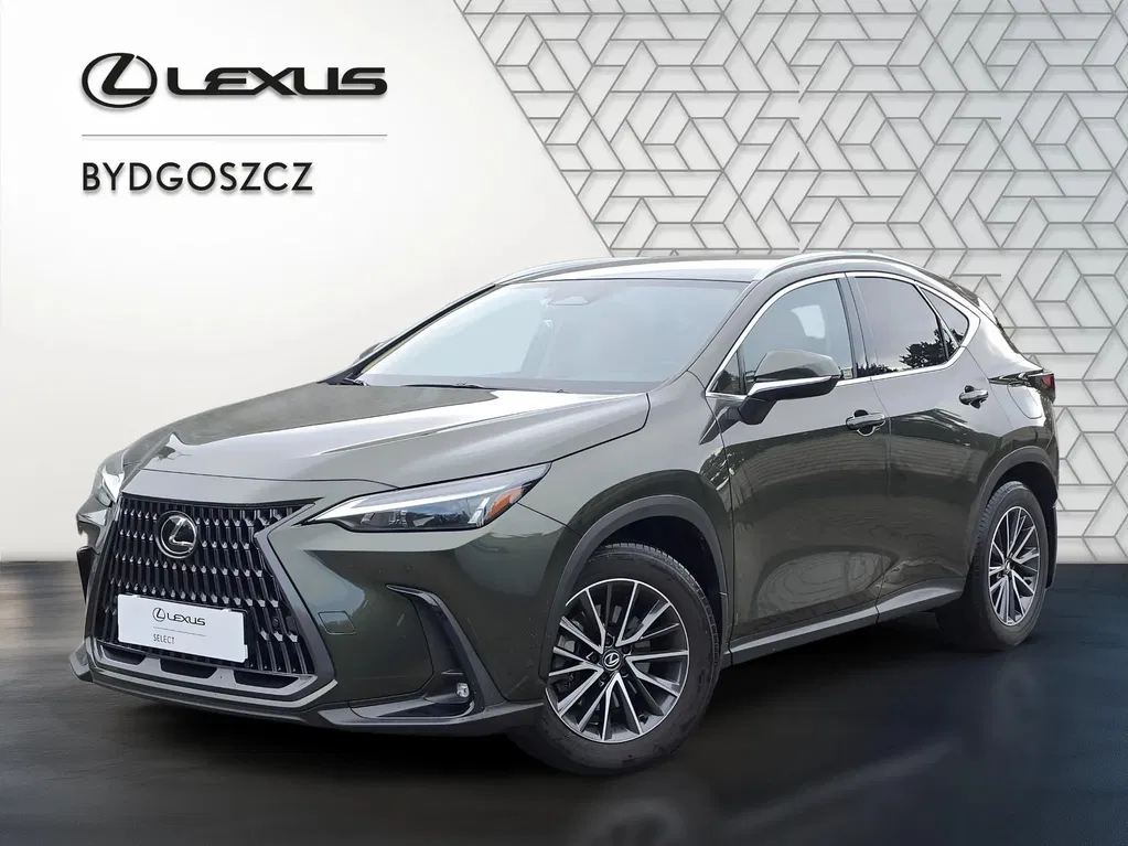 Zdjęcie: 2024 Lexus NX