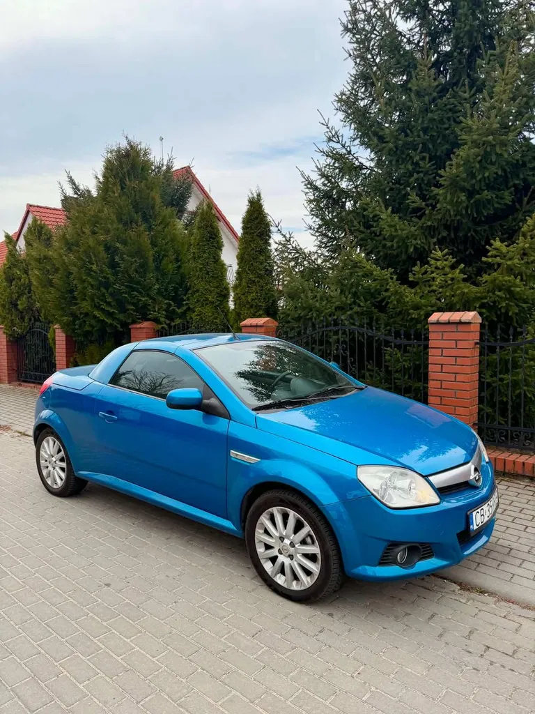 Zdjęcie: 2004 Opel Tigra