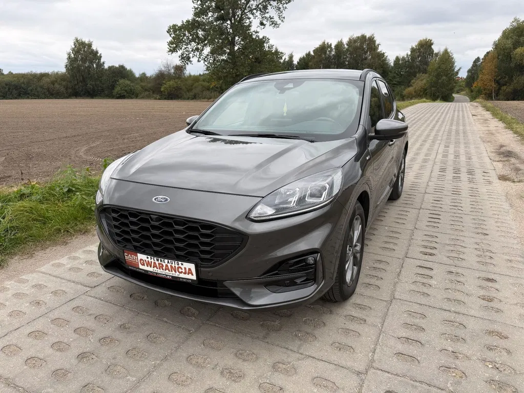 Zdjęcie: 2020 Ford Kuga