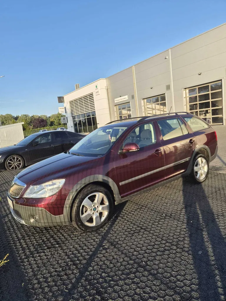 Zdjęcie: 2011 Skoda Octavia