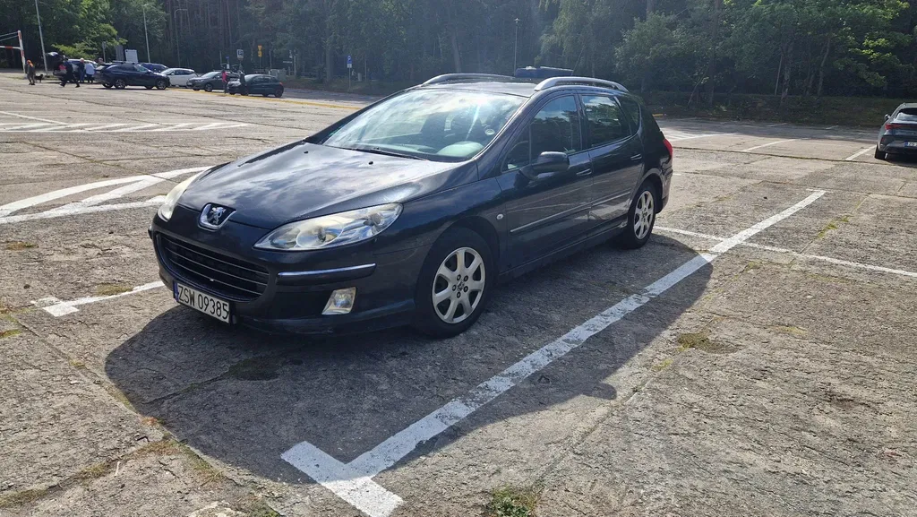 Zdjęcie: 2008 Peugeot 407