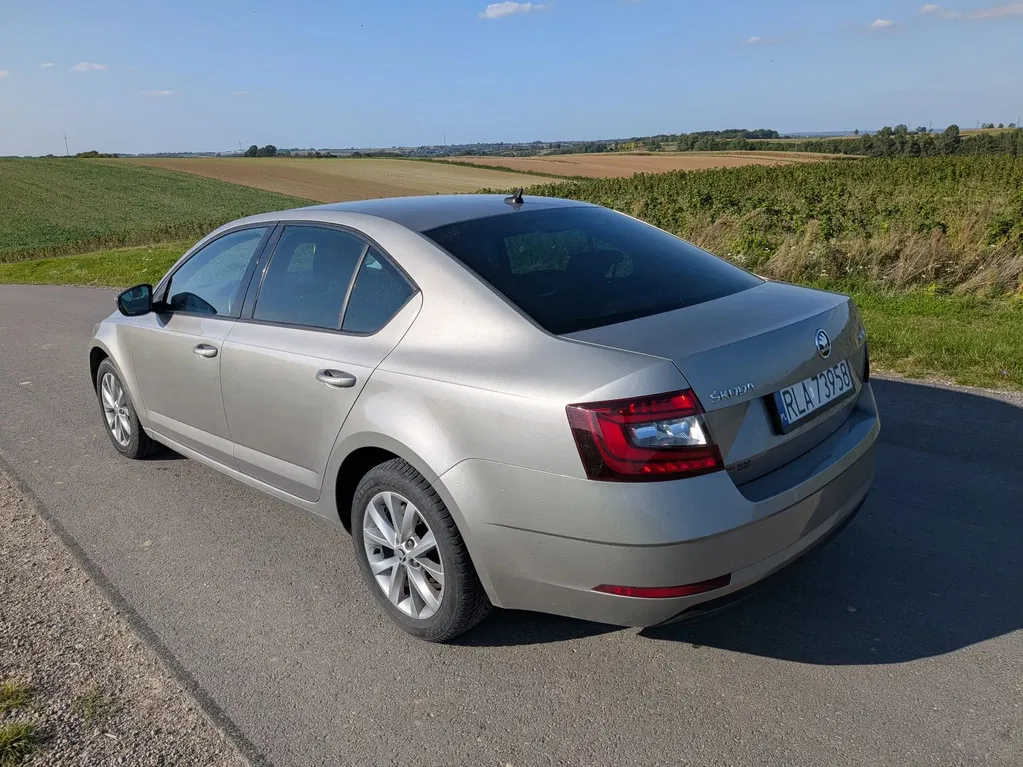 Zdjęcie: 2019 Skoda Octavia