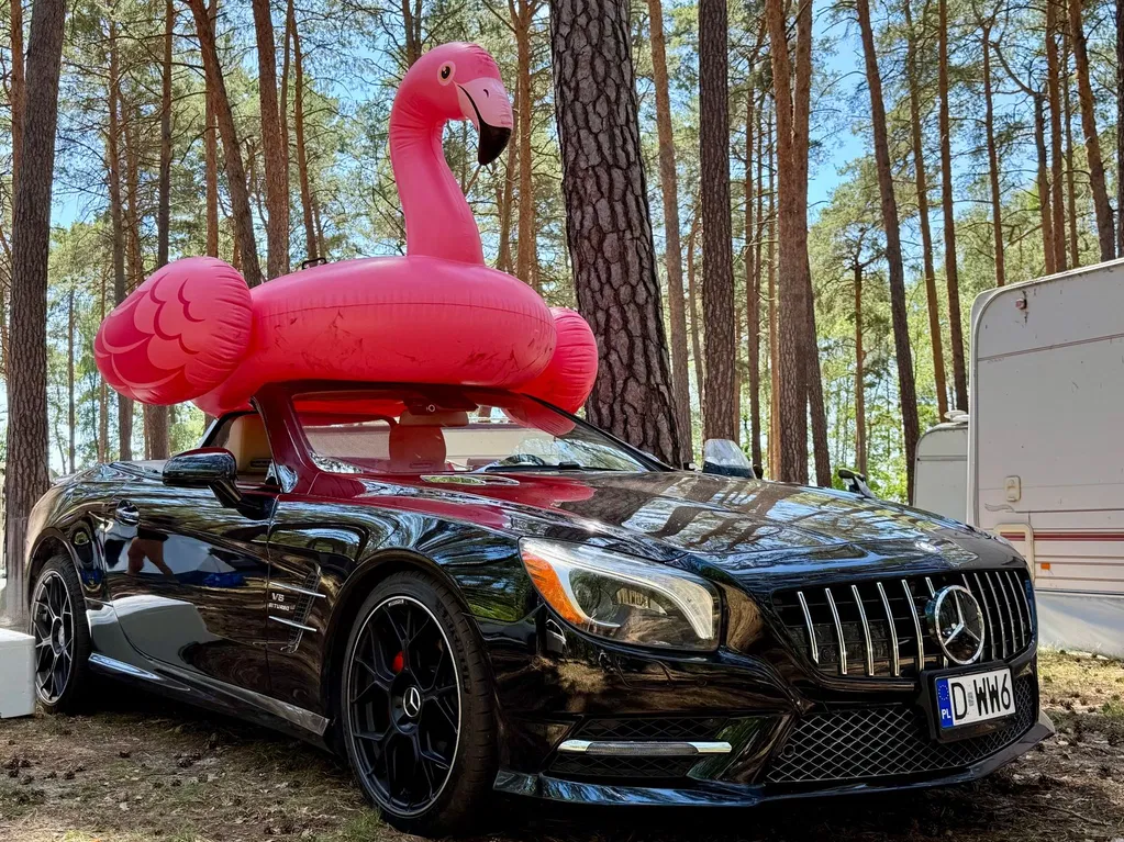 Zdjęcie: 2012 Mercedes-Benz SL Klasa
