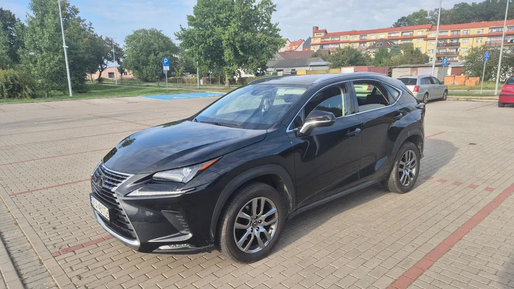Zdjęcie: 2019 Lexus NX