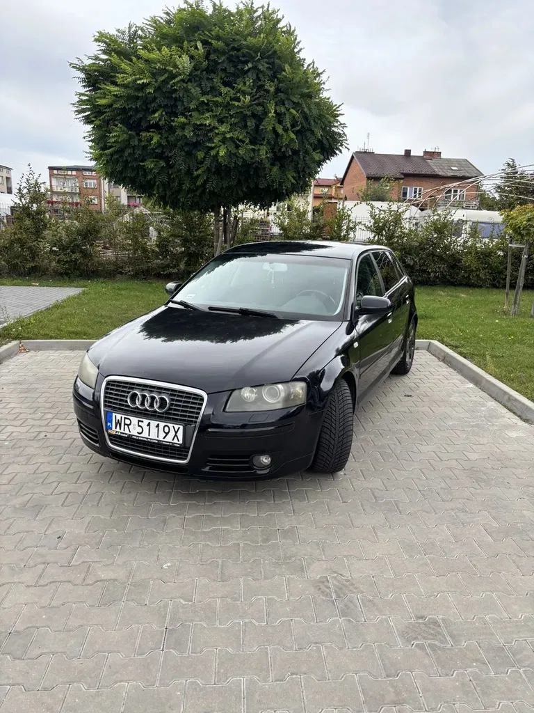 Zdjęcie: 2006 Audi A3 Sportback